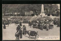 480476900_1179112643943027_6637485303324131458_n