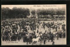 480964788_1179124033941888_495858350437309098_n