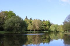 04 Le parc des Gayeulles 